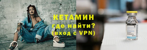 сатива Няндома