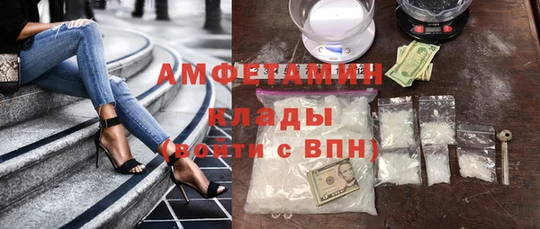 прущие грибы Заволжск