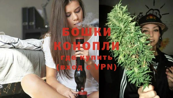 сатива Няндома