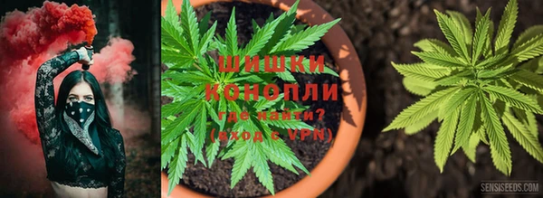 СК Нягань