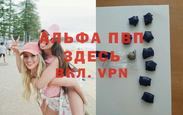 СК Новозыбков